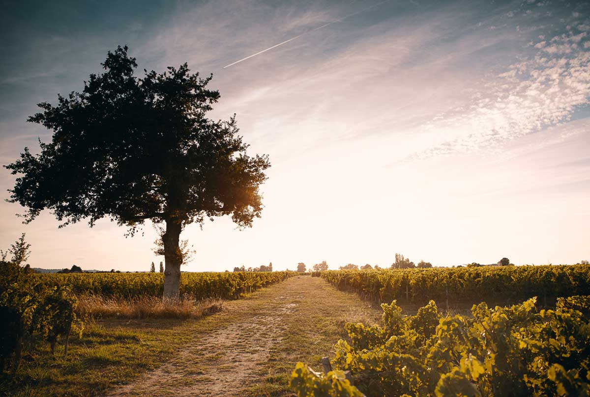 winetastingsecond
